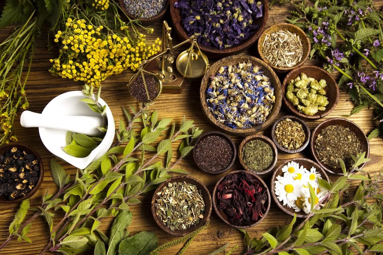 Infusiones tradicionales mexicanas y hierbas de jamaica
